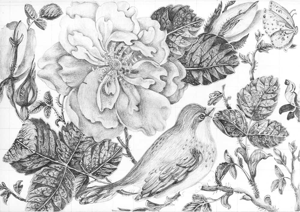 Persian Bird and Flower گل و مرغ