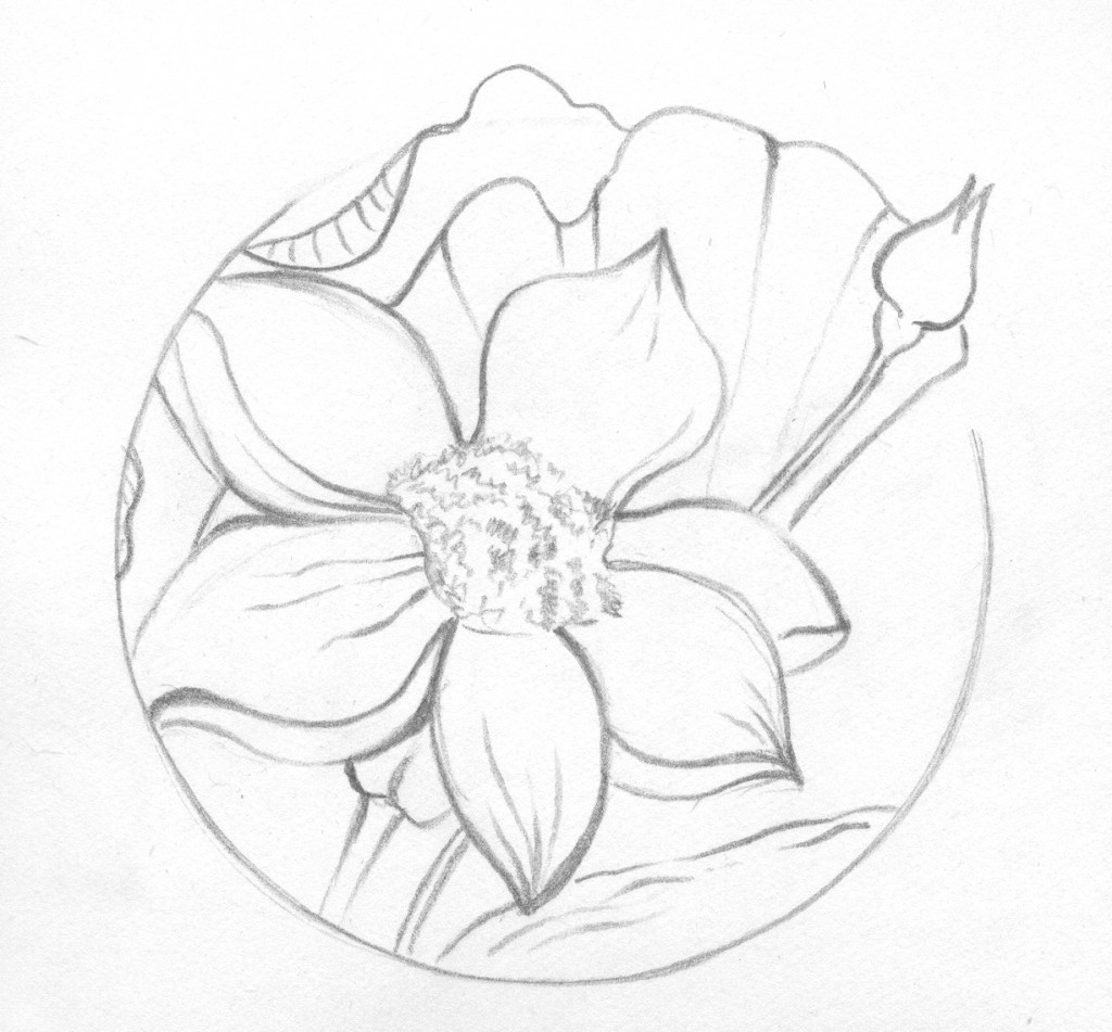 lotus